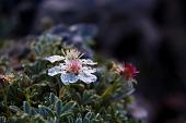 Impegnativa salita da S. Simone al Monte Pegherolo e passaggio sul Monte Cavallo con discesa dalla Val Terzera - FOTOGALLERY